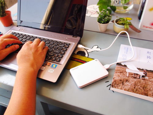 開(kāi)學(xué)季便捷式移動(dòng)硬盤(pán)選購(gòu)指南 東芝移動(dòng)硬盤(pán)評(píng)測(cè)